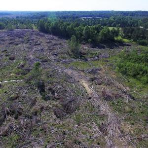Photo of UNDER CONTRACT!  42 Acres of Residential and Recreational Land For Sale in Charlotte County VA!