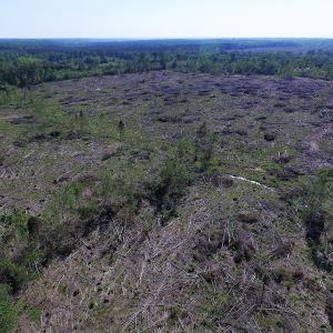 Photo of UNDER CONTRACT!  42 Acres of Residential and Recreational Land For Sale in Charlotte County VA!
