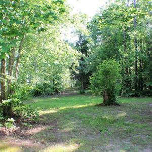 Photo of UNDER CONTRACT!  42 Acres of Residential and Recreational Land For Sale in Charlotte County VA!