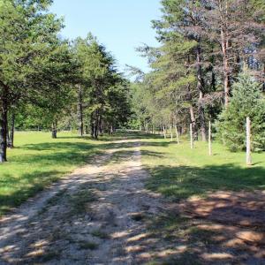 Photo of UNDER CONTRACT!  42 Acres of Residential and Recreational Land For Sale in Charlotte County VA!