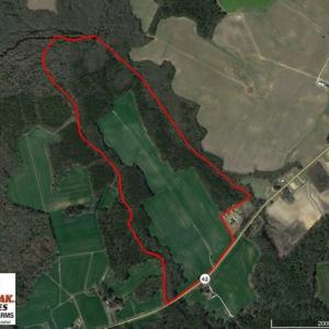 Photo of SOLD!  181 Acres of Farm and Timberland for Sale in Edgecombe County NC!