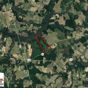 Photo of SOLD!  181 Acres of Farm and Timberland for Sale in Edgecombe County NC!