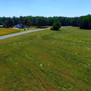 Photo of SOLD!  181 Acres of Farm and Timberland for Sale in Edgecombe County NC!