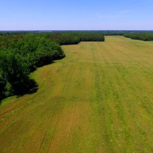 Photo of SOLD!  181 Acres of Farm and Timberland for Sale in Edgecombe County NC!