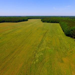 Photo of SOLD!  181 Acres of Farm and Timberland for Sale in Edgecombe County NC!