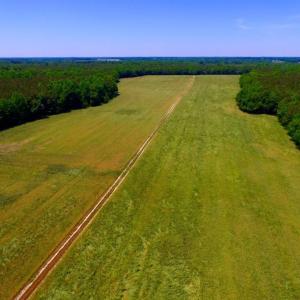 Photo of SOLD!  181 Acres of Farm and Timberland for Sale in Edgecombe County NC!