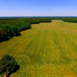 Photo of SOLD!  181 Acres of Farm and Timberland for Sale in Edgecombe County NC!