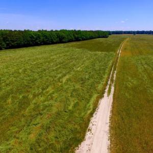 Photo of SOLD!  181 Acres of Farm and Timberland for Sale in Edgecombe County NC!