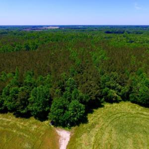 Photo of SOLD!  181 Acres of Farm and Timberland for Sale in Edgecombe County NC!
