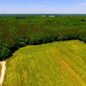 Photo of SOLD!  181 Acres of Farm and Timberland for Sale in Edgecombe County NC!