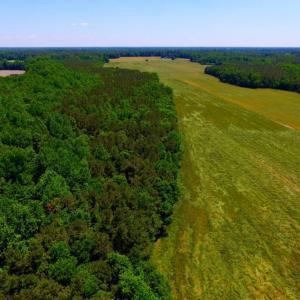 Photo of SOLD!  181 Acres of Farm and Timberland for Sale in Edgecombe County NC!