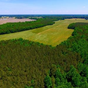 Photo of SOLD!  181 Acres of Farm and Timberland for Sale in Edgecombe County NC!