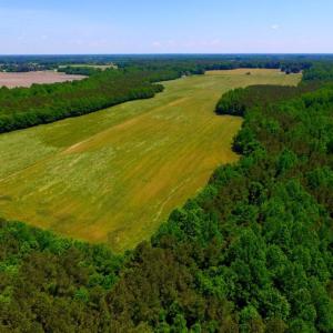 Photo of SOLD!  181 Acres of Farm and Timberland for Sale in Edgecombe County NC!