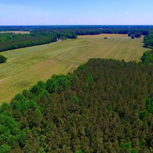 Photo of SOLD!  181 Acres of Farm and Timberland for Sale in Edgecombe County NC!