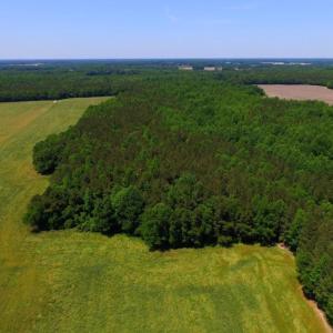 Photo of SOLD!  181 Acres of Farm and Timberland for Sale in Edgecombe County NC!