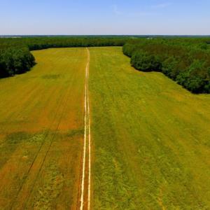 Photo of SOLD!  181 Acres of Farm and Timberland for Sale in Edgecombe County NC!