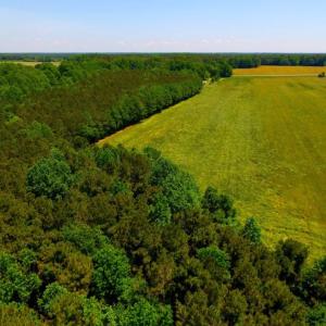 Photo of SOLD!  181 Acres of Farm and Timberland for Sale in Edgecombe County NC!