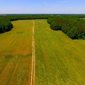Photo of SOLD!  181 Acres of Farm and Timberland for Sale in Edgecombe County NC!