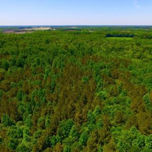 Photo of SOLD!  181 Acres of Farm and Timberland for Sale in Edgecombe County NC!