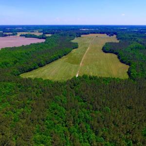 Photo of SOLD!  181 Acres of Farm and Timberland for Sale in Edgecombe County NC!