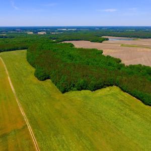 Photo of SOLD!  181 Acres of Farm and Timberland for Sale in Edgecombe County NC!