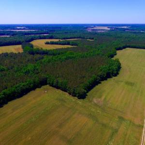Photo of SOLD!  181 Acres of Farm and Timberland for Sale in Edgecombe County NC!