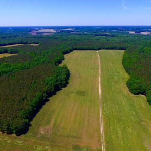 Photo of SOLD!  181 Acres of Farm and Timberland for Sale in Edgecombe County NC!