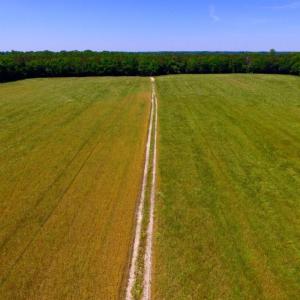 Photo of SOLD!  181 Acres of Farm and Timberland for Sale in Edgecombe County NC!