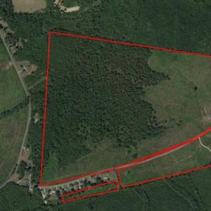 Photo of UNDER CONTRACT!  203 Acres of Hunting Land For Sale in Pittsylvania County VA!
