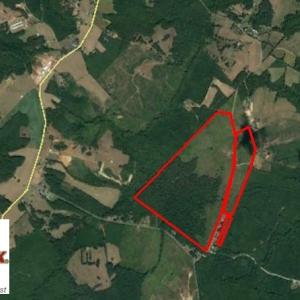 Photo of UNDER CONTRACT!  203 Acres of Hunting Land For Sale in Pittsylvania County VA!