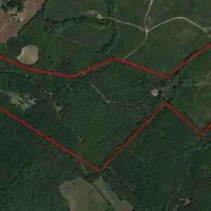 Photo of UNDER CONTRACT!  174 Acres of Hunting Land For Sale in Pittsylvania County VA!