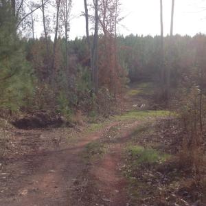 Photo of UNDER CONTRACT!  174 Acres of Hunting Land For Sale in Pittsylvania County VA!