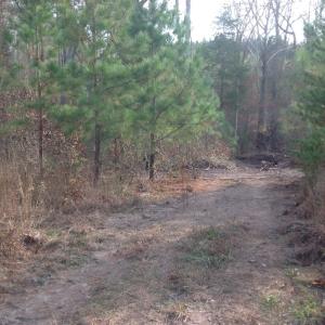 Photo of UNDER CONTRACT!  174 Acres of Hunting Land For Sale in Pittsylvania County VA!