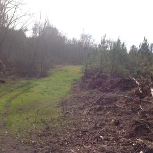 Photo of UNDER CONTRACT!  174 Acres of Hunting Land For Sale in Pittsylvania County VA!