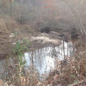 Photo of UNDER CONTRACT!  174 Acres of Hunting Land For Sale in Pittsylvania County VA!