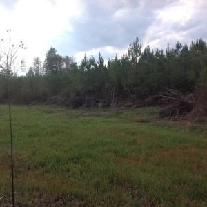 Photo of UNDER CONTRACT!  174 Acres of Hunting Land For Sale in Pittsylvania County VA!