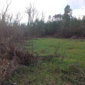 Photo of UNDER CONTRACT!  174 Acres of Hunting Land For Sale in Pittsylvania County VA!