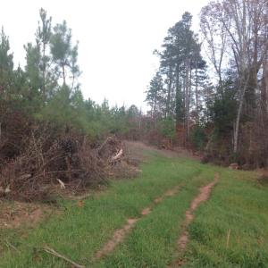 Photo of UNDER CONTRACT!  174 Acres of Hunting Land For Sale in Pittsylvania County VA!