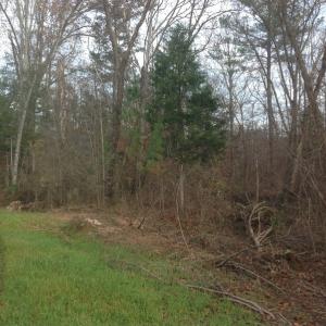 Photo of UNDER CONTRACT!  174 Acres of Hunting Land For Sale in Pittsylvania County VA!