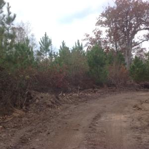 Photo of UNDER CONTRACT!  174 Acres of Hunting Land For Sale in Pittsylvania County VA!