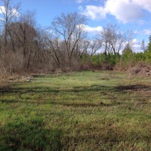 Photo of UNDER CONTRACT!  174 Acres of Hunting Land For Sale in Pittsylvania County VA!