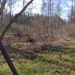 Photo of UNDER CONTRACT!  174 Acres of Hunting Land For Sale in Pittsylvania County VA!
