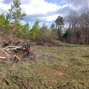 Photo of UNDER CONTRACT!  174 Acres of Hunting Land For Sale in Pittsylvania County VA!