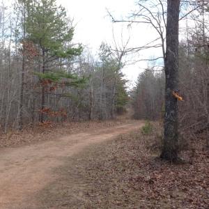 Photo of UNDER CONTRACT!  174 Acres of Hunting Land For Sale in Pittsylvania County VA!