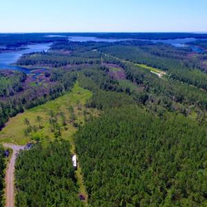 Photo of SOLD!  50 Acres of Waterfront Hunting Land for Sale in Hyde County NC!