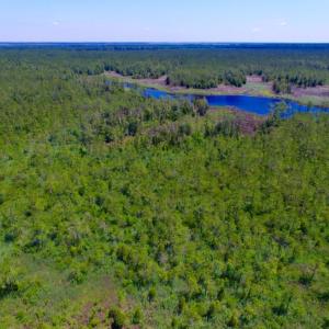 Photo of SOLD!  50 Acres of Waterfront Hunting Land for Sale in Hyde County NC!