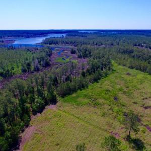 Photo of SOLD!  50 Acres of Waterfront Hunting Land for Sale in Hyde County NC!