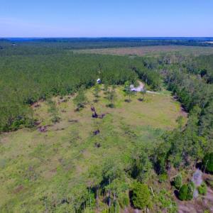 Photo of SOLD!  50 Acres of Waterfront Hunting Land for Sale in Hyde County NC!