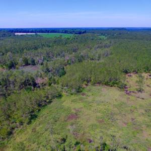 Photo of SOLD!  50 Acres of Waterfront Hunting Land for Sale in Hyde County NC!