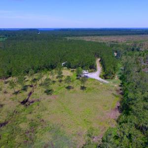 Photo of SOLD!  50 Acres of Waterfront Hunting Land for Sale in Hyde County NC!